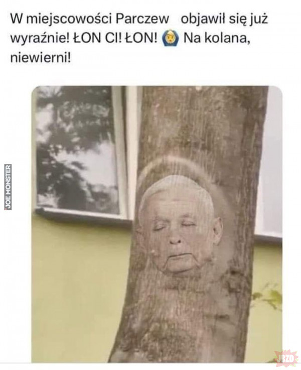 Kaczyński przeklęty w drzewo zaklęty