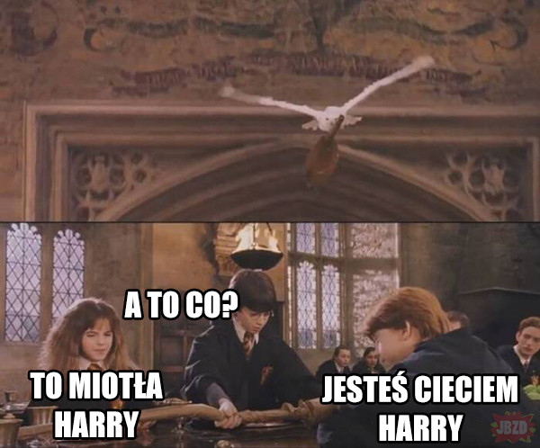 Jesteś cieciem Harry