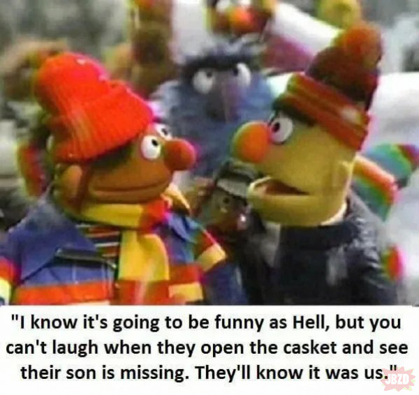 Bert i erni