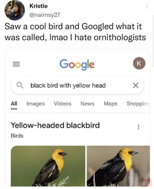 Ornitolodzy tacy są