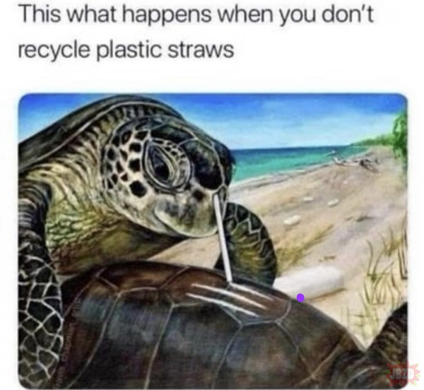 zajebane żółwie chcą nam odebrać plastikowe słomki