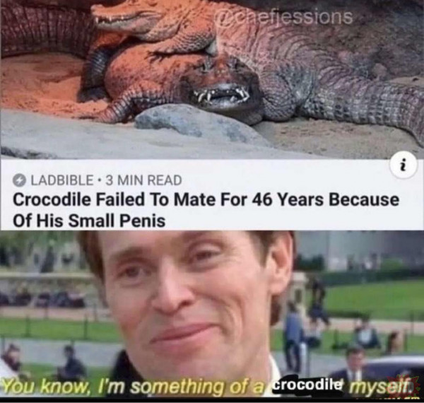 Wszyscy jesteśmy krokodylami