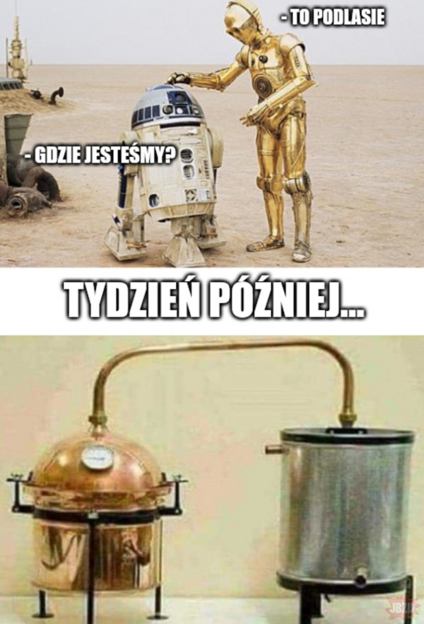 May the "duch puszczy" be with you