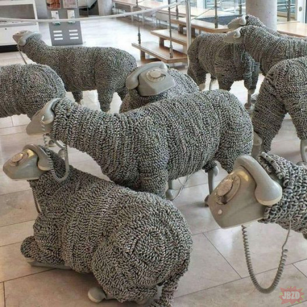 Co 5G robi z owcami