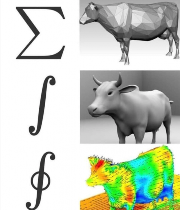 Aerodynamika krowy