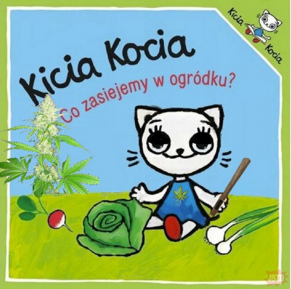 Kicia Kocia 2