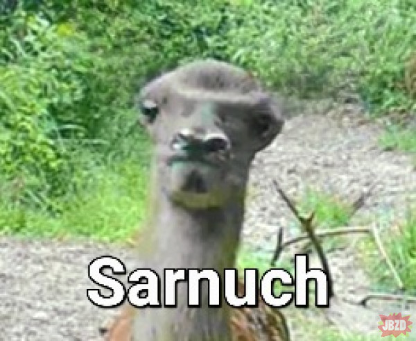 Sarnuch