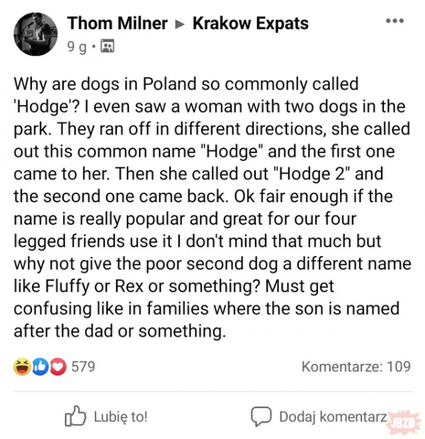 Dlaczego psy w Polsce mają takie dziwne nazwy?