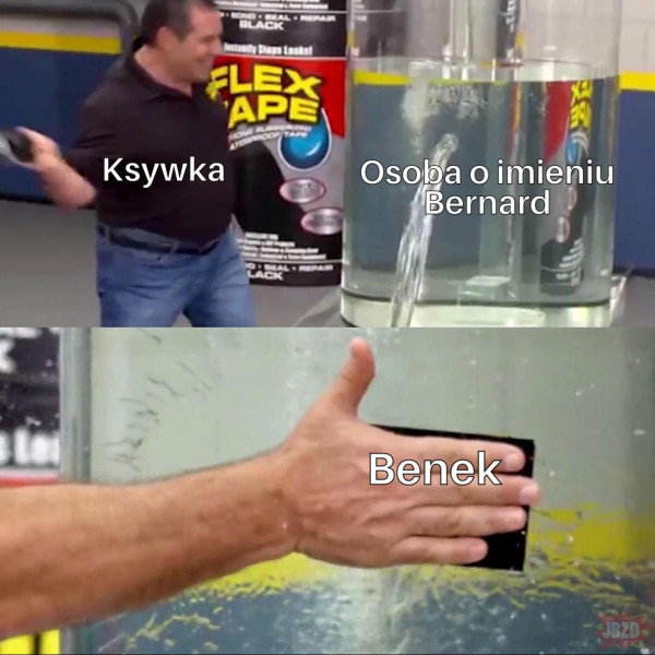Praktycznie każdy Bernard