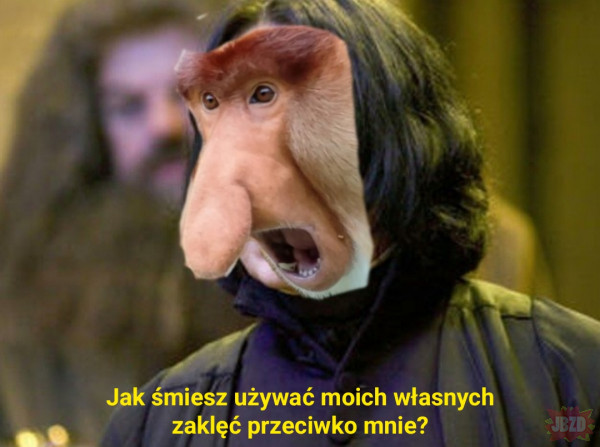 Sąsiad Snape