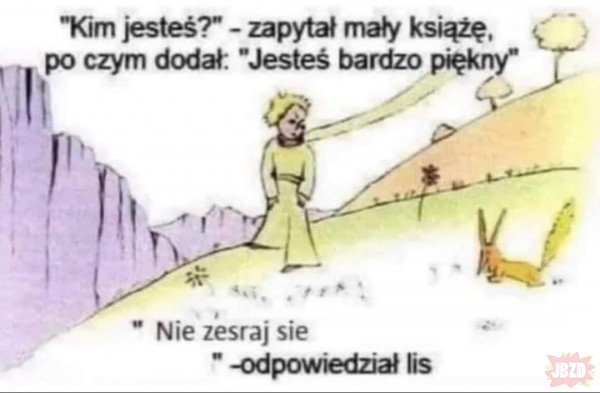Lis z Polski