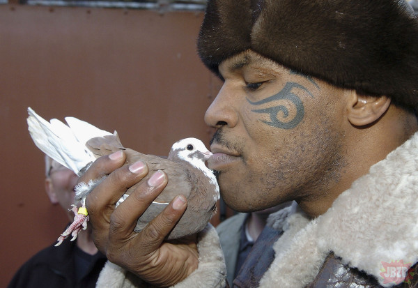 Mike Tyson lubi małe ptaszki.Zwłaszcza je całować.