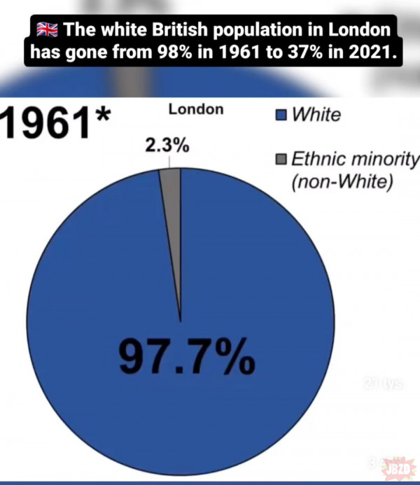 O tym, jak zostało 37%  białych angoli w Londynie