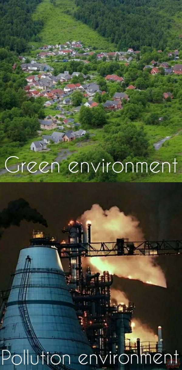 warto pamiętać o środowisku