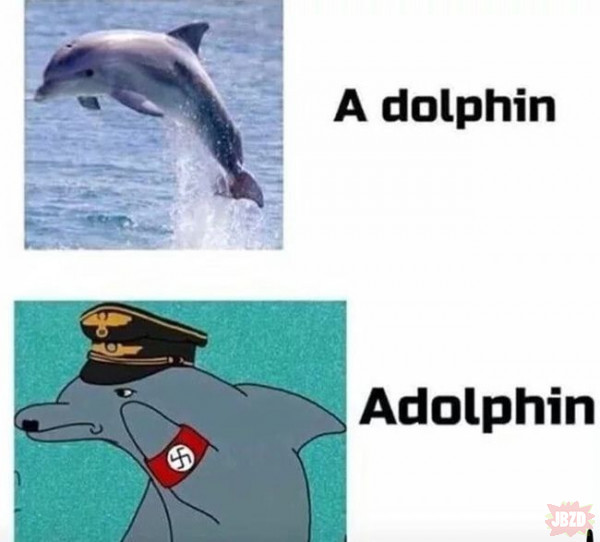 Delfin którego nie przyjeli na ASP