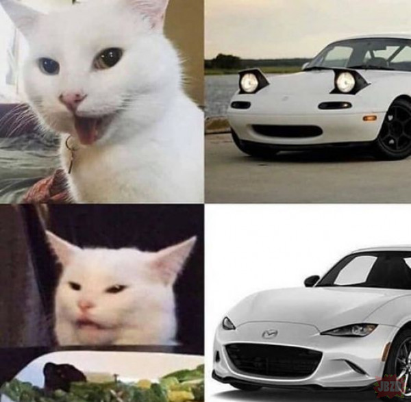 Cats as Cars :3