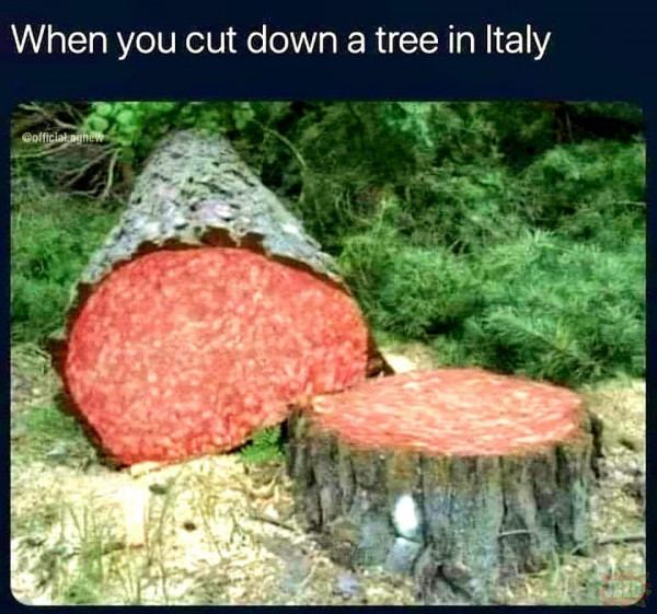 Włoskie drzewa