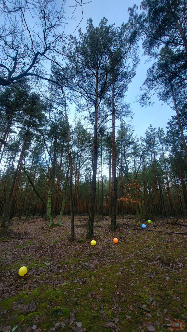 Co robicie gdy znajdujecie w lesie rozrzucone balony?