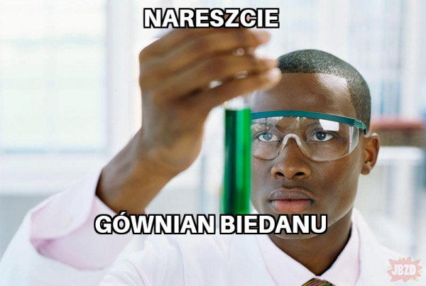 Naukowcy z krajów niggerlandzkich