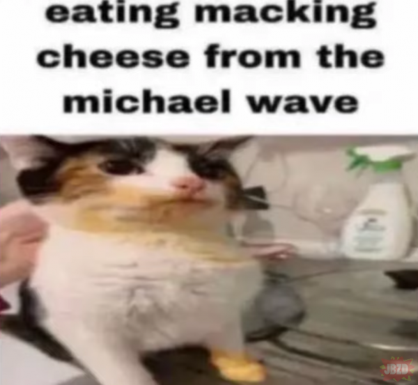 Jedzenie robi ser z fali Michała