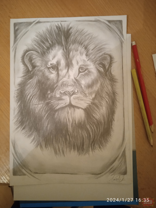 Znajoma przysłała mi zdjęcie, żebym narysował jej lwa-zaplaci.