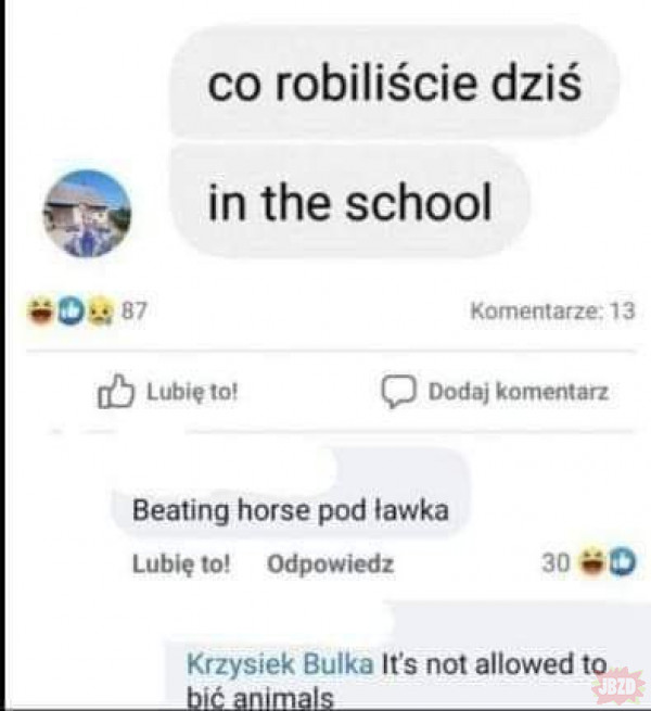 Szkoła i horse