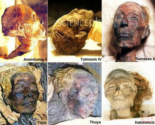 Niektórzy starożytni Egipcjanie byli od urodzenia blondynami