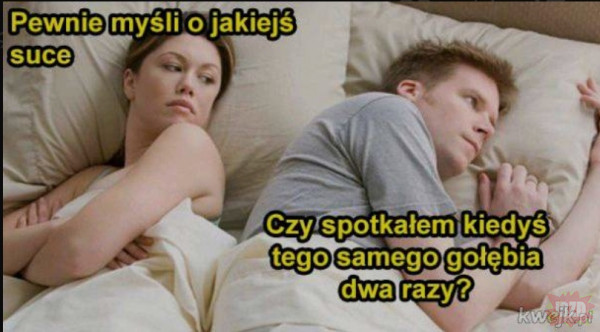 Obsrywacze aut... Muszę przyznać że są mądre, zawsze wiedzą kiedy jest myte.
