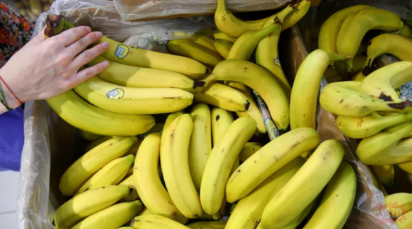 Były humbaki i ich nie ma, czyli banany z Ekwadoru wracaja do kacaplandu