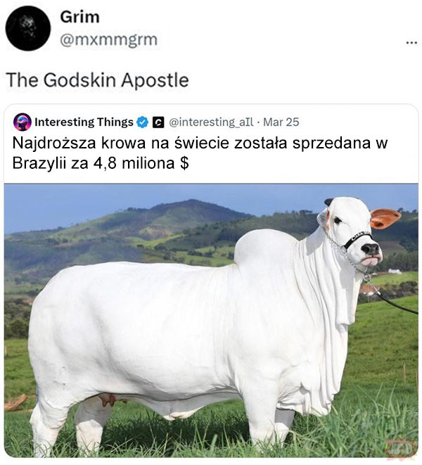 Droga krowa