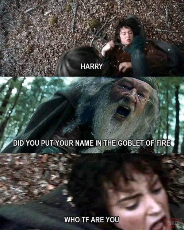 HP and the One Ring