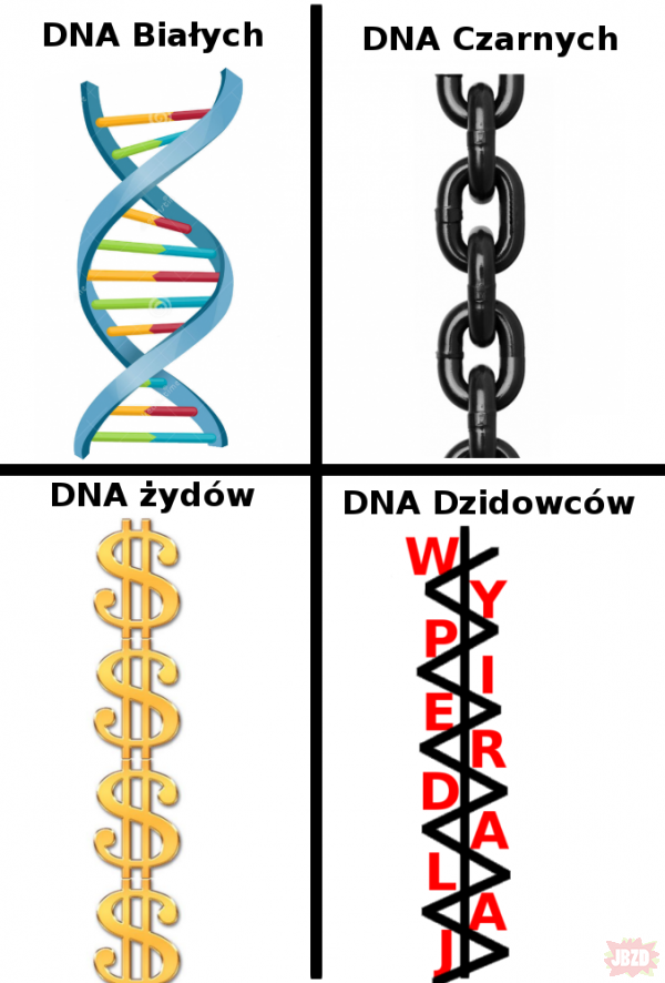 DNA v21.37
