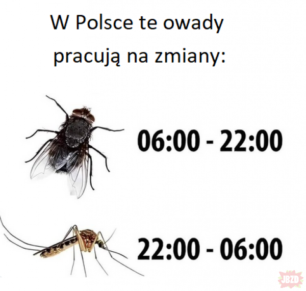 Lato w Polsce