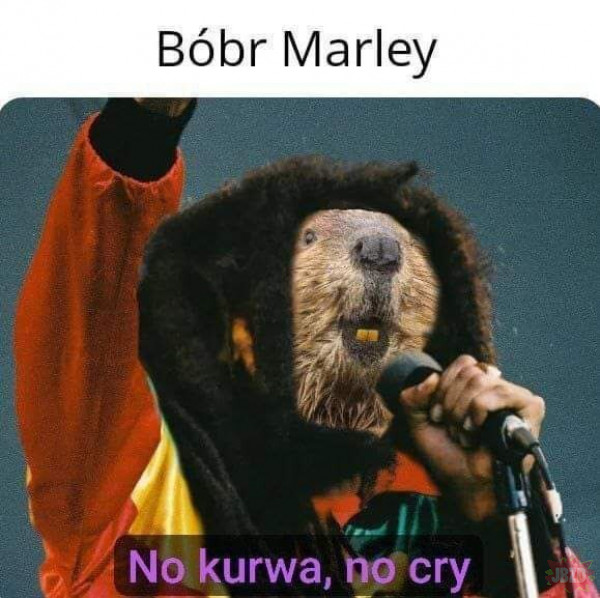 Bóbr Marley