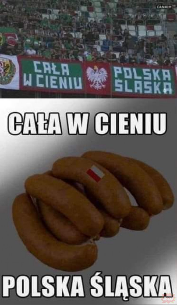Śląska Polska