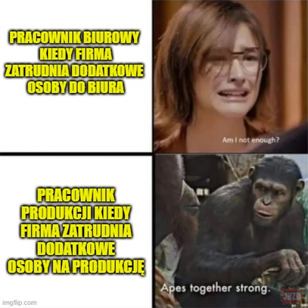 Małpy silne razem