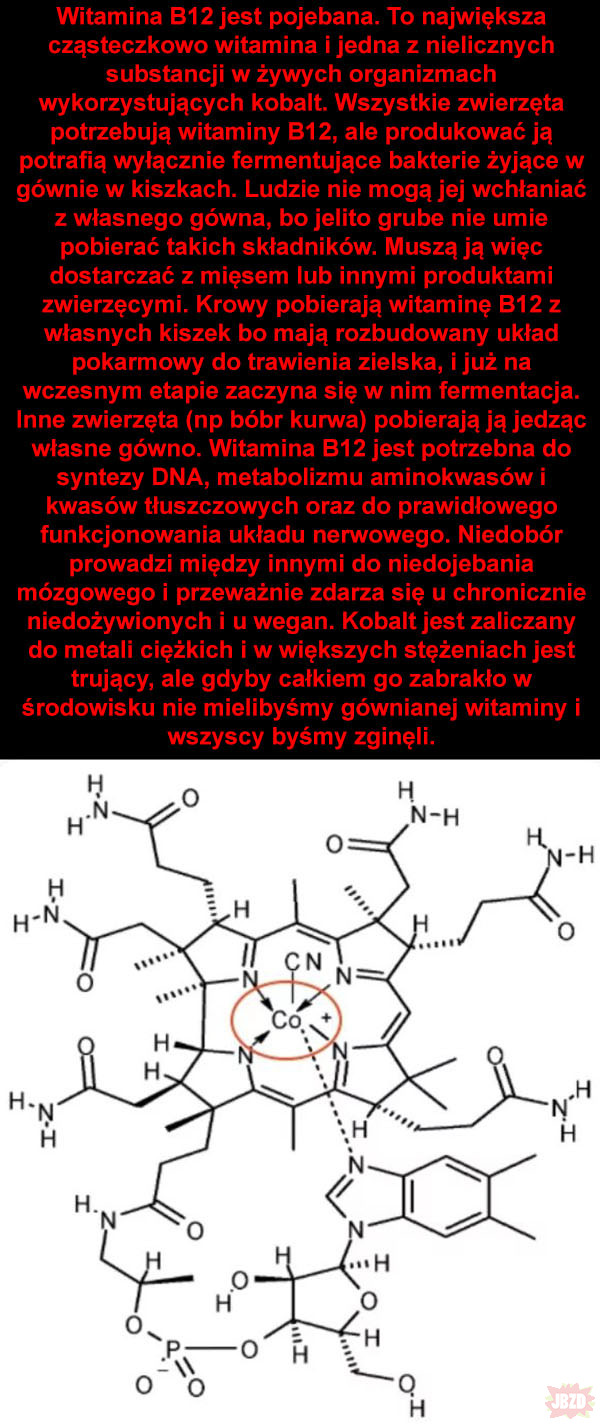 Gówniana witamina B12