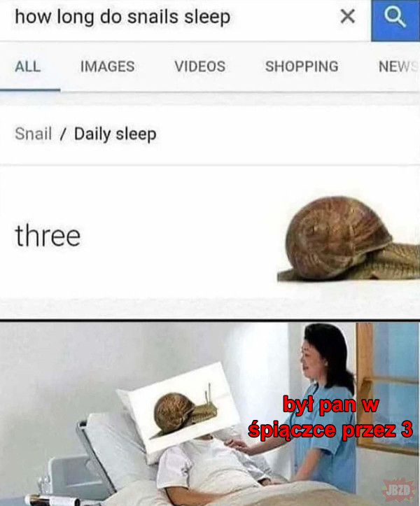 Jak długo śpi ślimak
