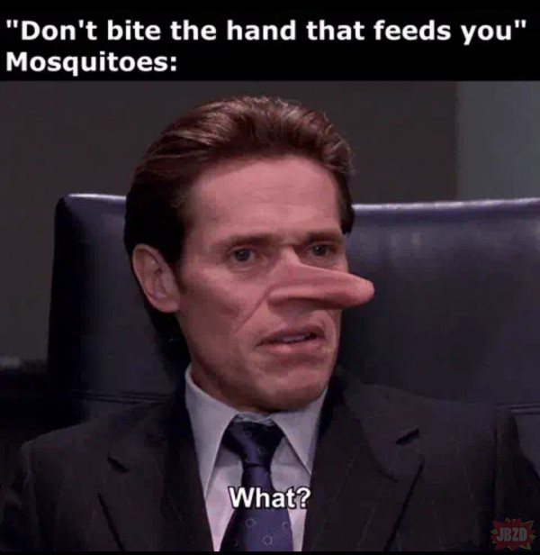 Nie gryź ręki co cię karmi
