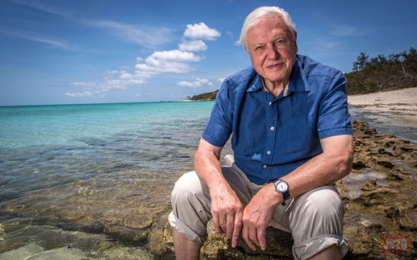 98 lat dziś kończy sir David Attenborough