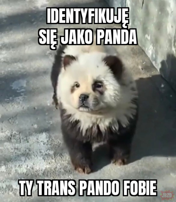 Trans panda