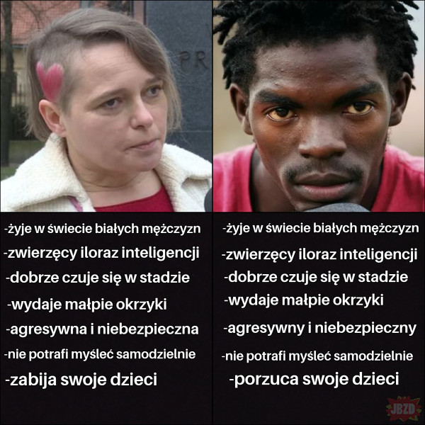 Feministka=murzyn