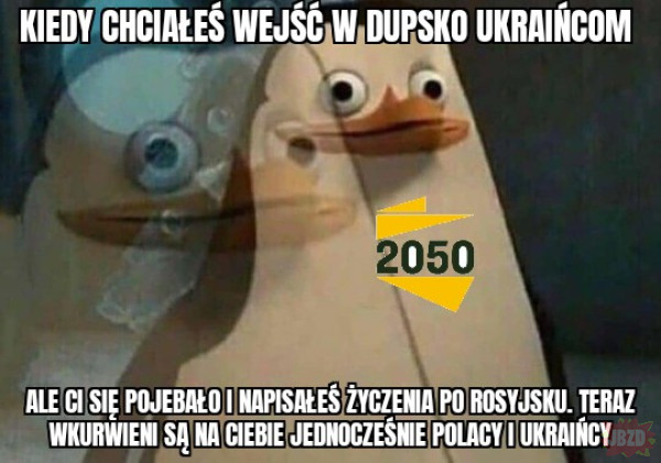 Rosja 2050