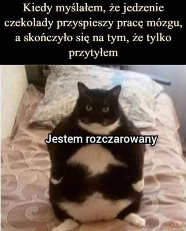 Powinno wyjść inaczej