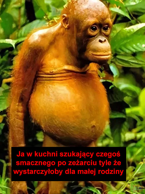 Grubo