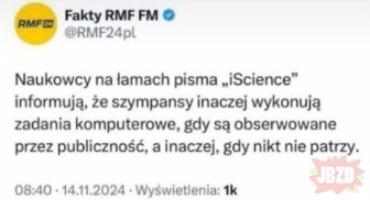 Mayby i am szympansem
